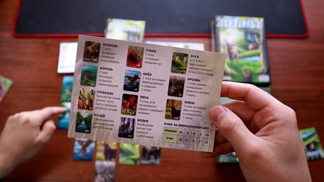 Настольная игра «Экосистема», правила смотреть онлайн