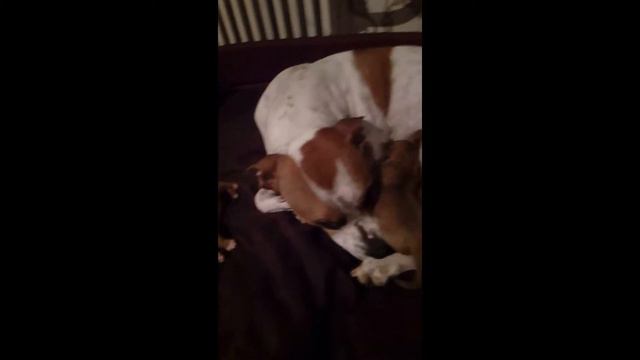 Sara 01 Мои Детки " часть I " смотреть онлайн