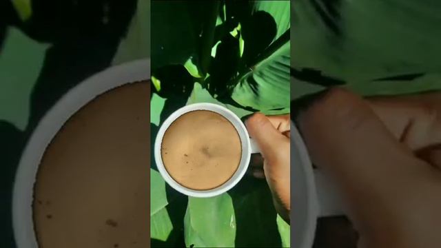 Cafe Con Leche смотреть онлайн
