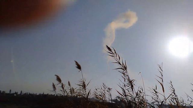 Тестовый запуск. смотреть онлайн