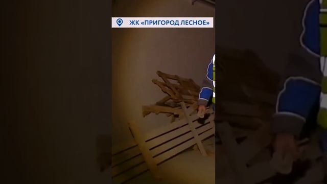 Вторая школа в Пригород Лесное смотреть онлайн