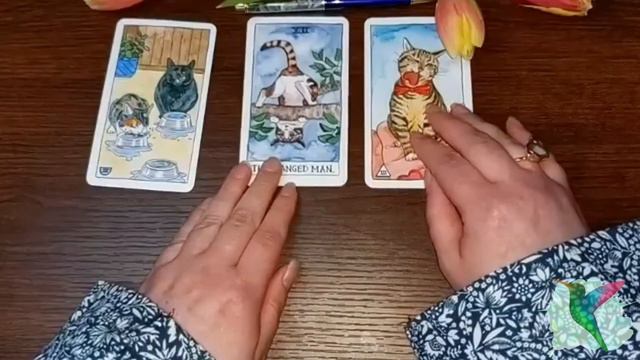 Foundation Inspection 🏛️👩🔧 PICK A CARD
