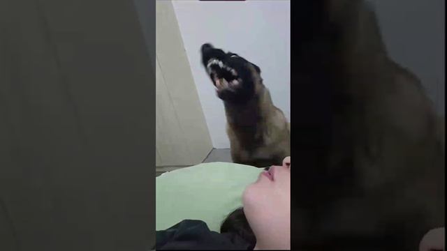 video_2024-06-06_14-02-57 смотреть онлайн