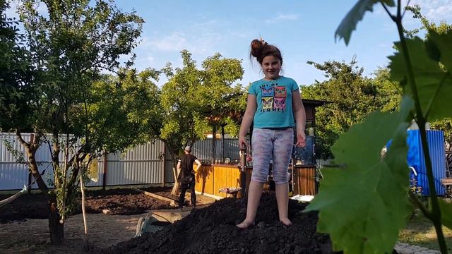 Планирование и посадка газона на даче весной|How to plant lawn grass|EVABELLAV|Ева и Белла смотреть онлайн