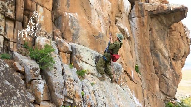 Тува2020 {Сокол-балобан} Заповедник Убсунурская котловина смотреть онлайн