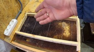 Такие ловушки рои не пропустят /  Пчеловодство Ловля роев