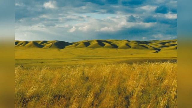 Размышления о жизни, любви и природе I Online-чтение стихов Касыма Аманжолова смотреть онлайн