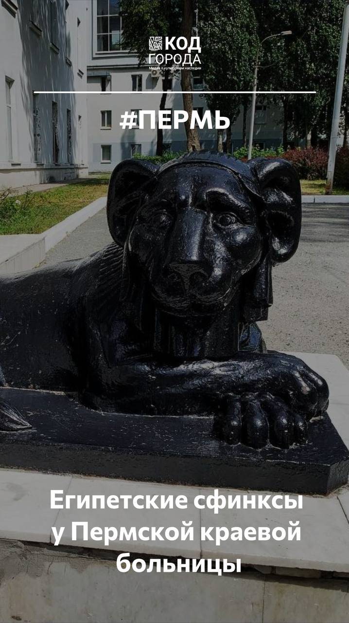 Египетские сфинксы у Пермской краевой больницы.

 Пермь Код Города Россия