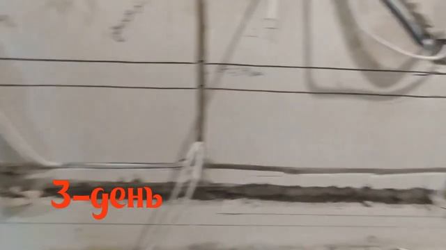 Немецкая сантехника в немецком проекте с заявкой на премиум grohe встроенные смесители смотреть онлайн