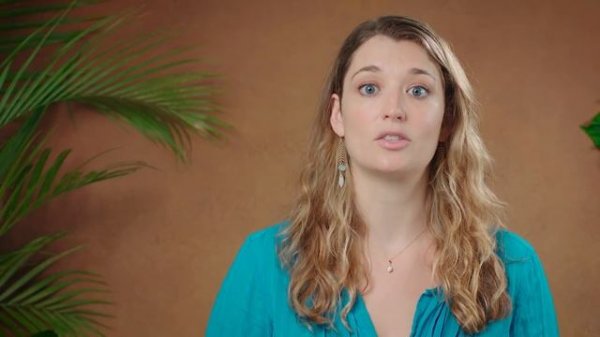 ? What is Geography? Crash Course Geography #1