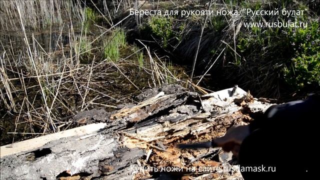 Береста для рукояти ножа смотреть онлайн