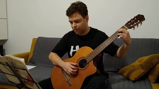 Motyl - Le Papillon, Mauro Giuliani смотреть онлайн