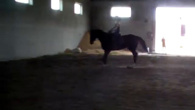 SANY1535 смотреть онлайн