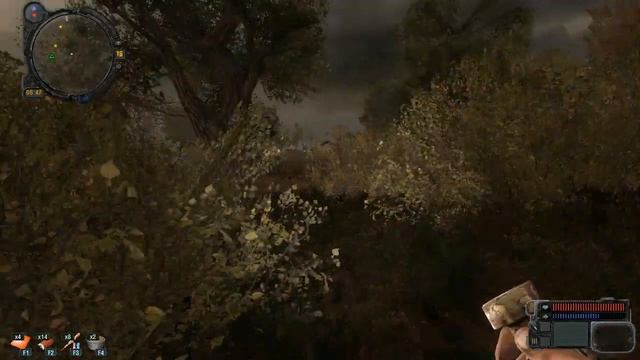 Прохождение S.T.A.L.K.E.R - Долина Шорохов Ч.1 смотреть онлайн
