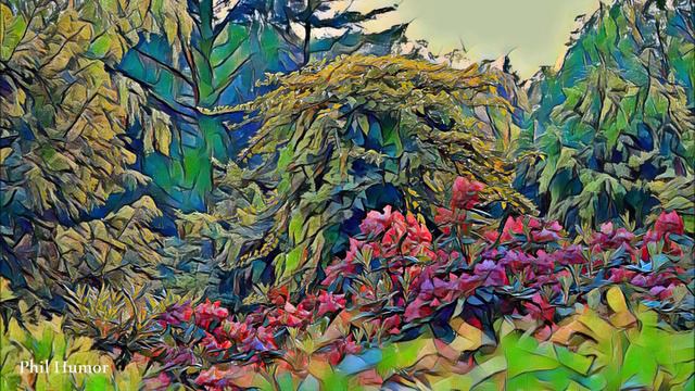 Rhododendron und Efeu - Foto-Variationen смотреть онлайн