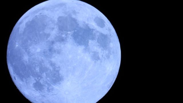 Nikon Coolpix P1000 A Super Close up Flower Moon In 4K смотреть онлайн