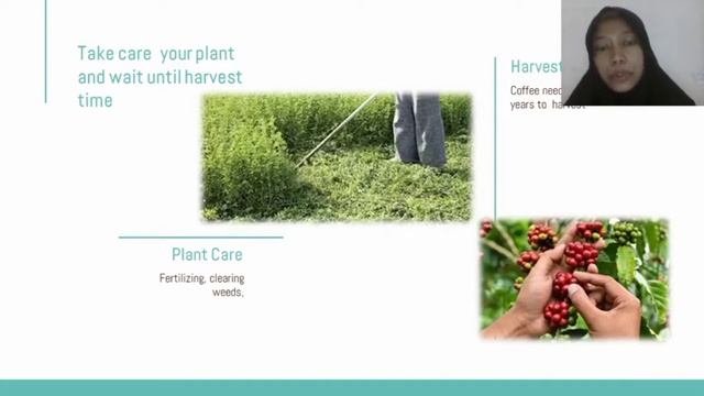 Analysis of Farming Management System of Coffee Comodity смотреть онлайн
