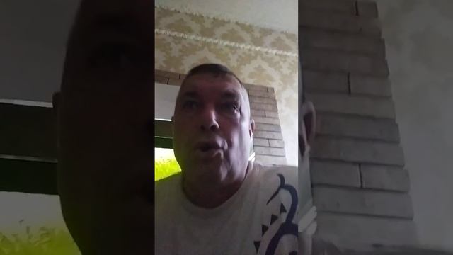 Нутрии, выбрать на развод. смотреть онлайн