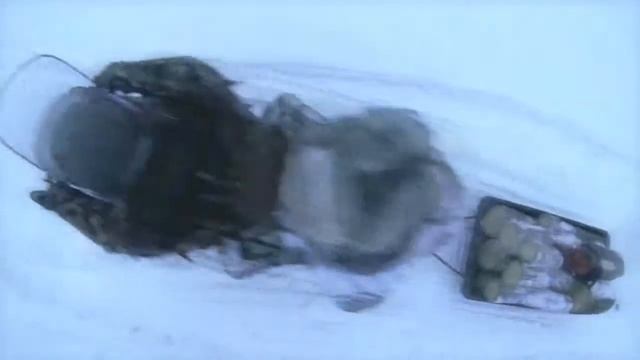 Снегоход Dingo T125 смотреть онлайн