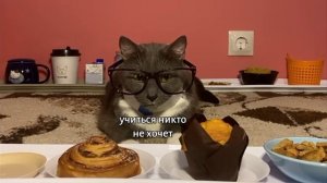 Котинет на карусель сборник серий