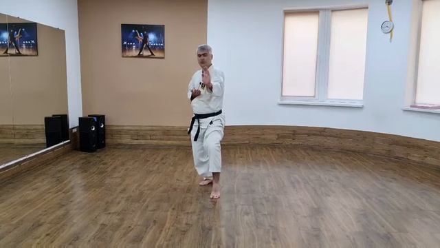 Стойка nekoashi-dachi смотреть онлайн