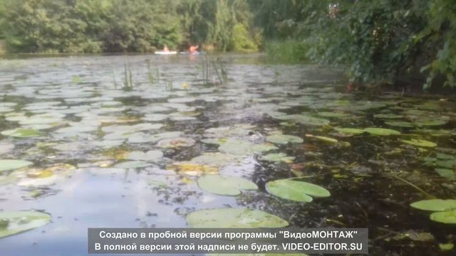 Москва Серебряный бор Жаркий день на пляже № 9. смотреть онлайн