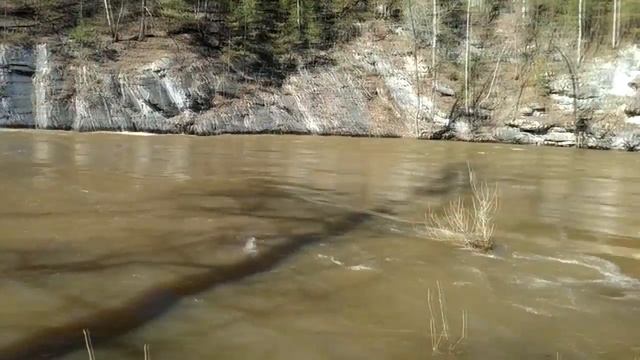 Первая тренировка после бассейна апрель или май 2018 смотреть онлайн