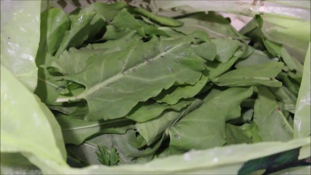 НАСТОЯЩИЕ ЗЕЛЕНЫЕ ЩИ, КАК СВАРИТЬ ЗЕЛЕНЫЙ БОРЩ СО ЩАВЕЛЕМ, РЕЦЕПТЫ ПЕРВЫХ БЛЮД, ЖИДКИЕ БЛЮДА, БОРЩ смотреть онлайн