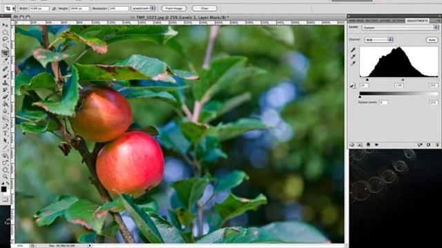 Adjustment Layers in Photoshop CS5 - Levels 1 of 2 смотреть онлайн