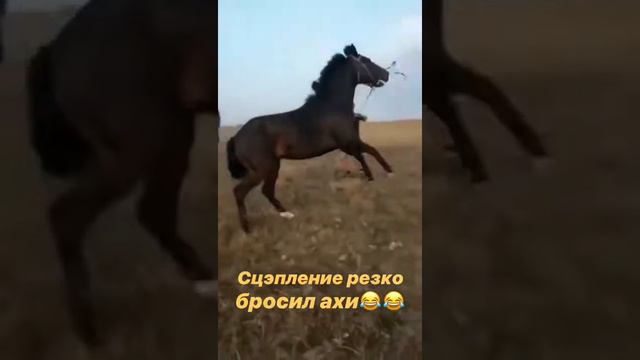 Не бросай резко сцепление!!!🤗😱😂 смотреть онлайн