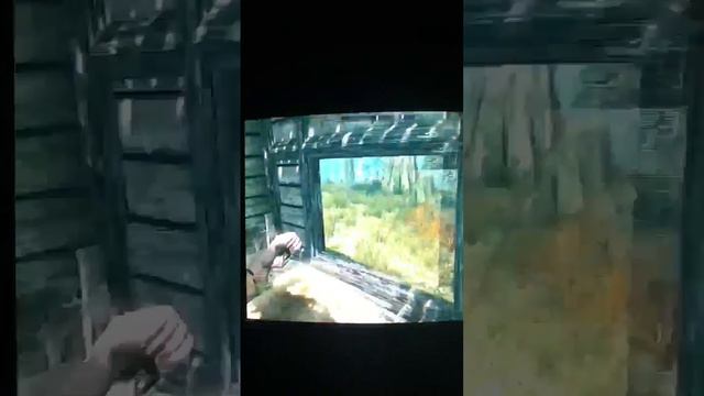 How to get laid in skyrim смотреть онлайн
