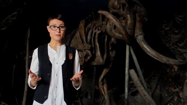 Ольга Гриценко выпуск 4 Чарльз Дарвин #жзл смотреть онлайн