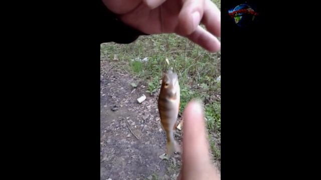 Zahar = На рыбалке= (Zahar Fishing)