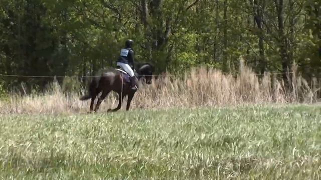 Allison Spring & Business Ben The Fork Horse Trials April 2016 смотреть онлайн