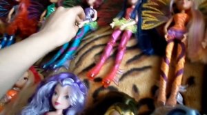 Моя коллекция кукол Винкс 14 штук*Winx Club Dolls