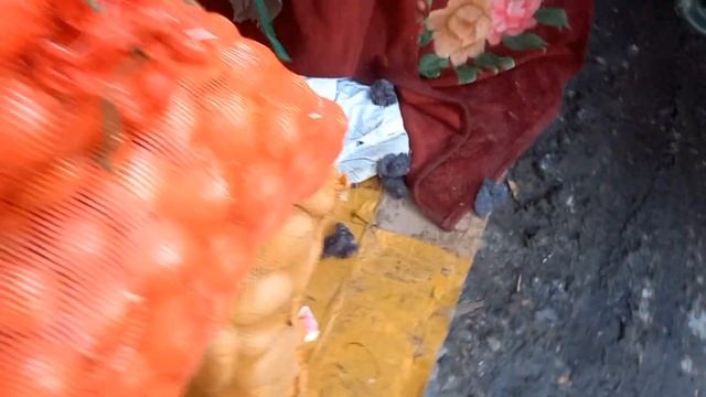 12.02.23 Бишкек Сары Озон базары момо жемиш баалары смотреть онлайн