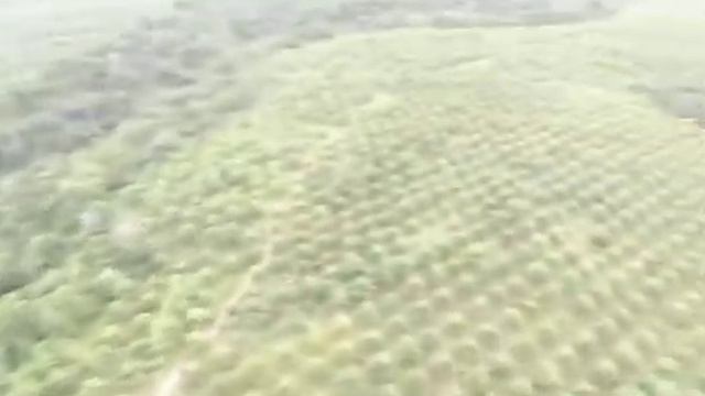 WhatsApp Video 2021 03 01 at 18 24 02 смотреть онлайн
