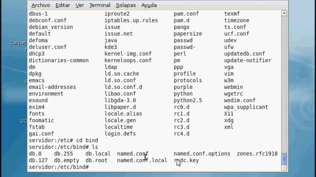 Videotutorial - Instalación de un servidor DNS en Linux Debian - Por Raul Espinosa Soriano смотреть онлайн