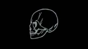 Строение скелета человека - Анатомия просто!