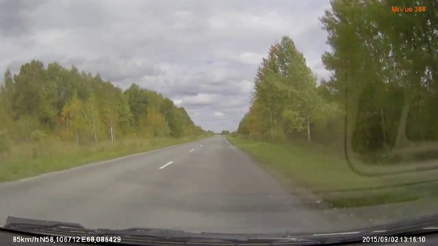 FILE7624 автодорога Сетово Ермаково белые волки смотреть онлайн