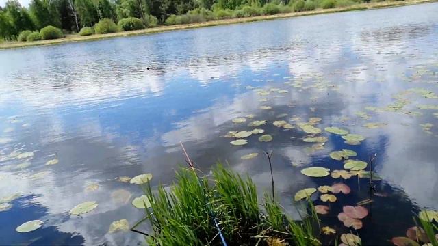 Снова на святом озере. смотреть онлайн