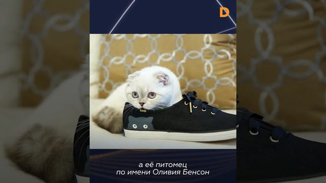Кот хочет стать миллионером: cамые богатые животные смотреть онлайн