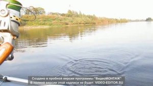 рыбалка на сухоне кренки судак, щука, язь