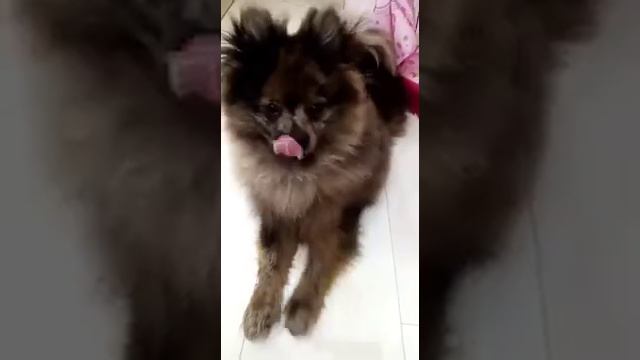 знакомтесь мой противный брат Эрик смотреть онлайн