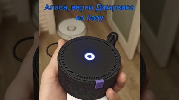 Голосовое управление умным домом. Home Assistant. Примеры использования Алисы от Яндекса