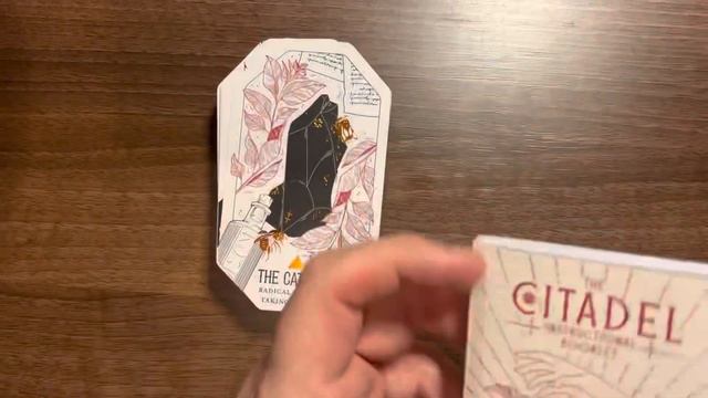 Taking a look at the new Citadel Oracle from Liminal 11 смотреть онлайн