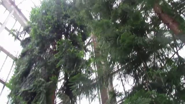 Рига Ботанический сад/ Letonia Jardin Botanique смотреть онлайн