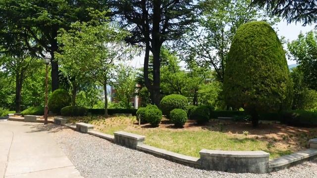 Walking Tour In Daegu South Korea Around Keimyung University