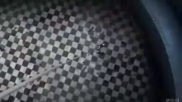 Аниме Клип Тишина мои друг смотреть онлайн