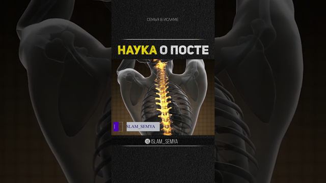 Ценность поста в ИСЛАМЕ #ИСЛАМ#пост #рамадан #2020 #мусульманемира #истина #Коран #чтение_корана смотреть онлайн